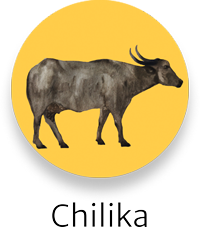 Chilika