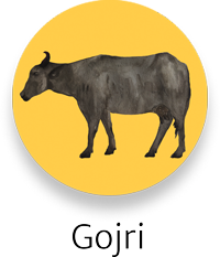 Gojri