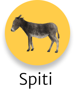 Spiti