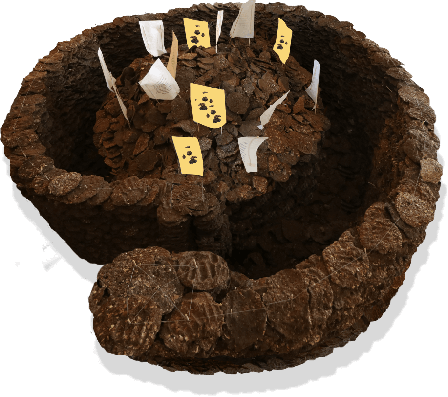 Dung